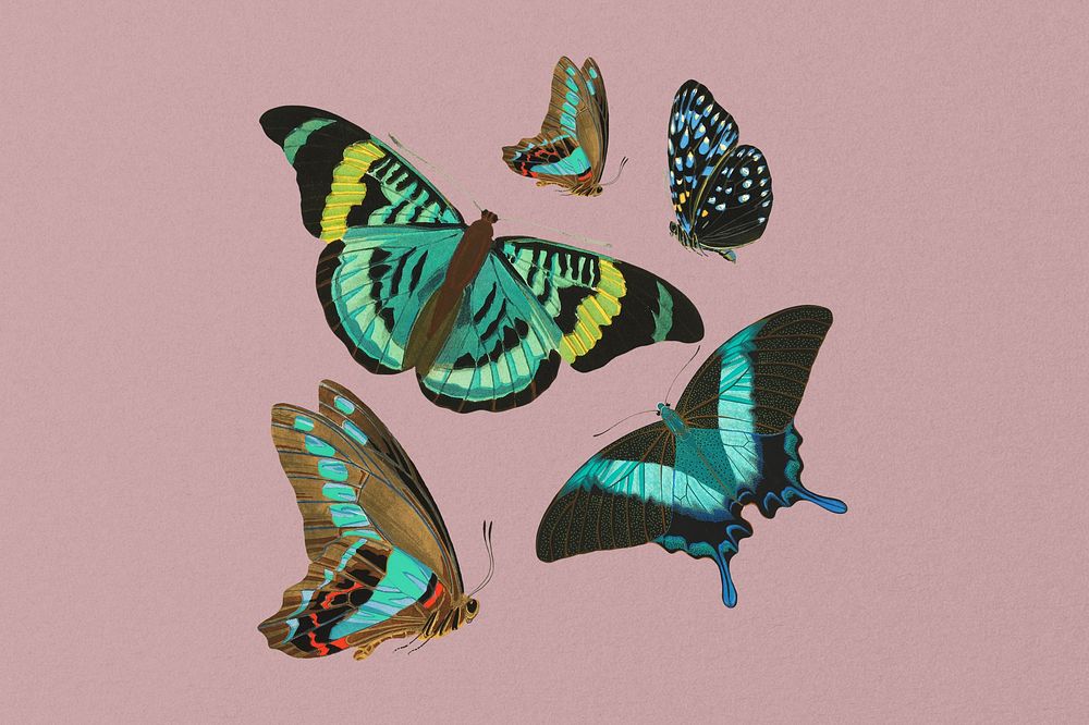 E.A. Séguy's butterfly background, vintage pink design, remixed by rawpixel.