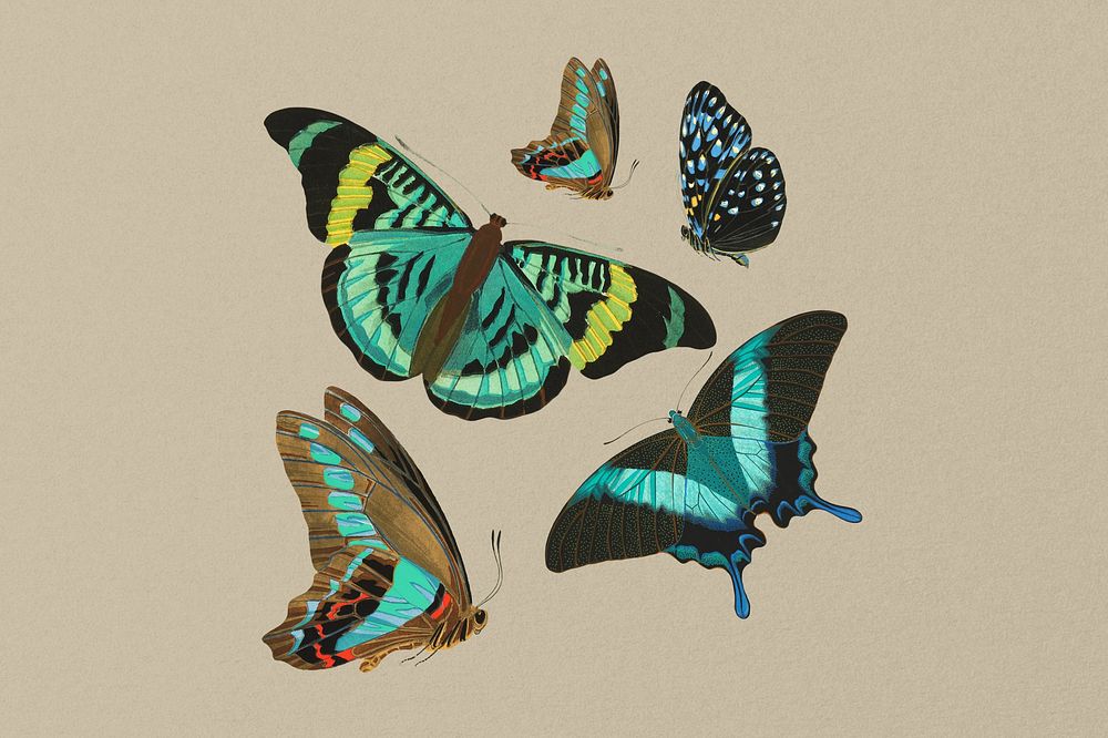 E.A. S&eacute;guy's butterfly background, vintage brown design, remixed by rawpixel.