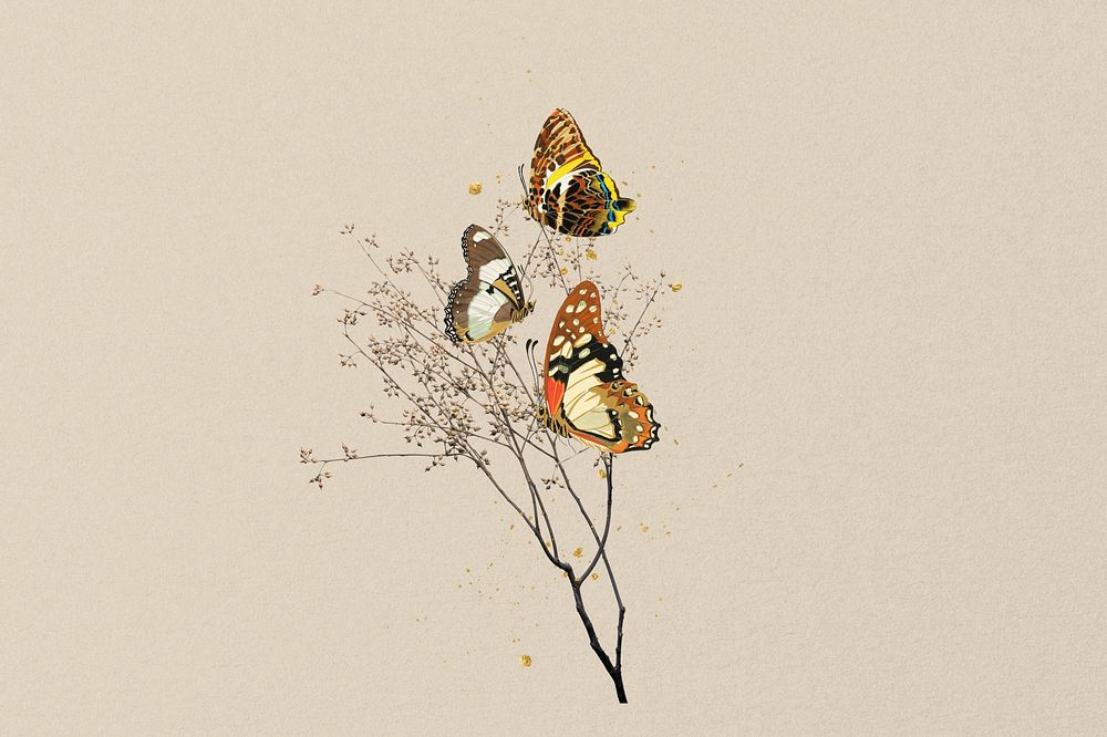 Autumn aesthetic butterfly background, beige design, remixed from the artwork of E.A. S&eacute;guy.