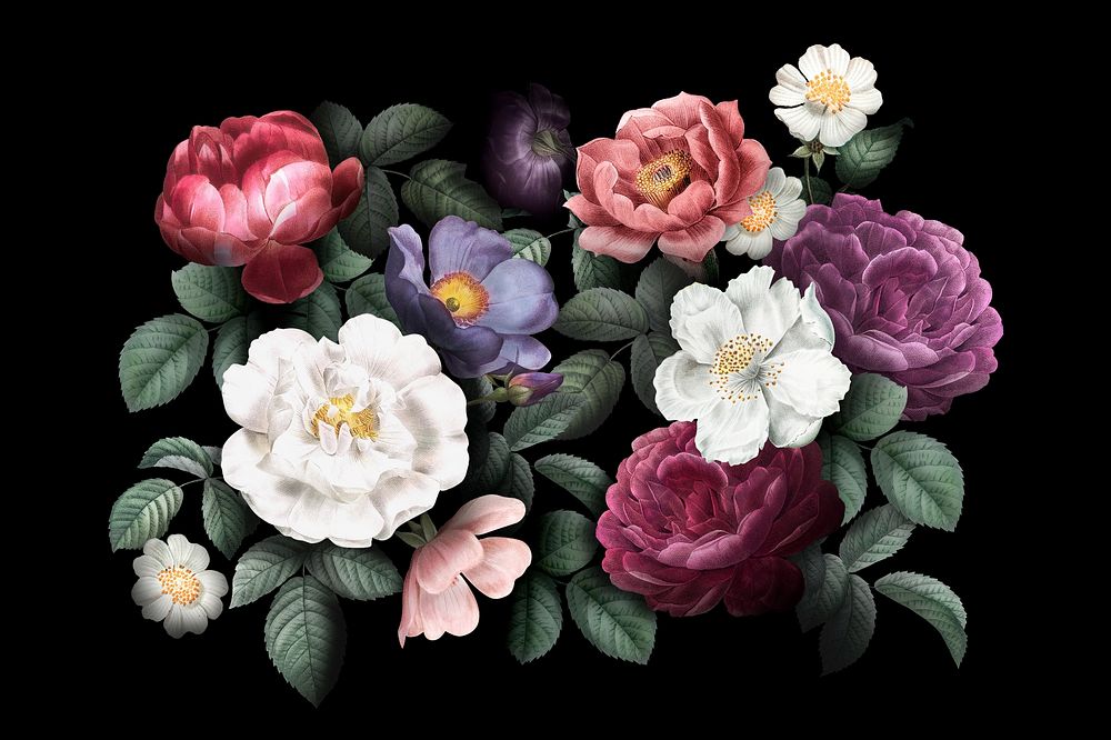 Vintage flower collage element, aesthetic watercolor botanical illustration