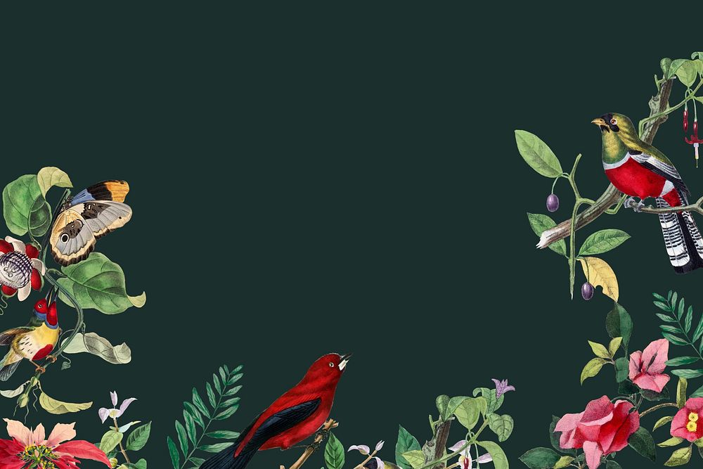 Tropical birds border background, botanical black design