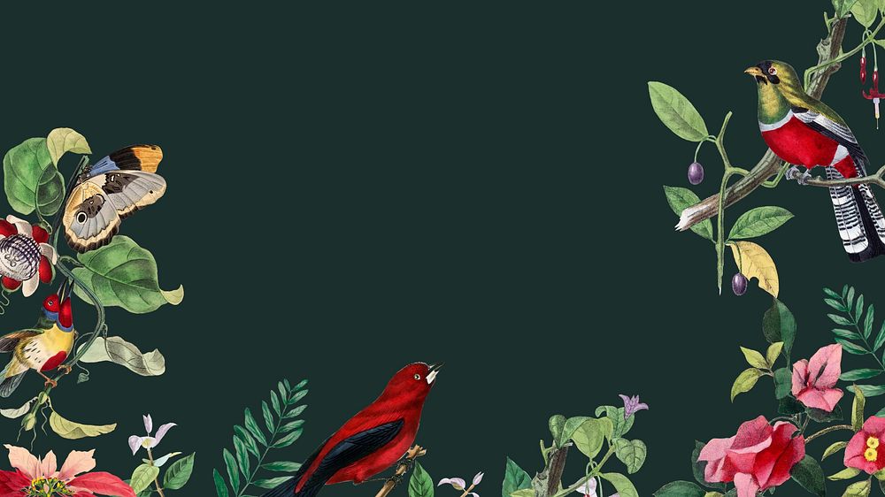Tropical bird border desktop wallpaper, black design