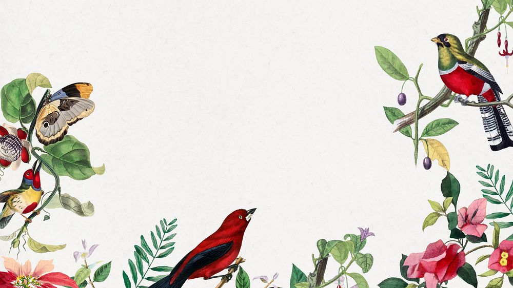 Tropical bird border desktop wallpaper, white design