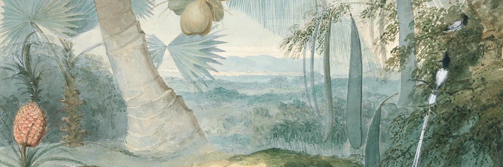 Coconut tree landscape background, vintage nature illustration by Samuel Daniell. Remixed by rawpixel.