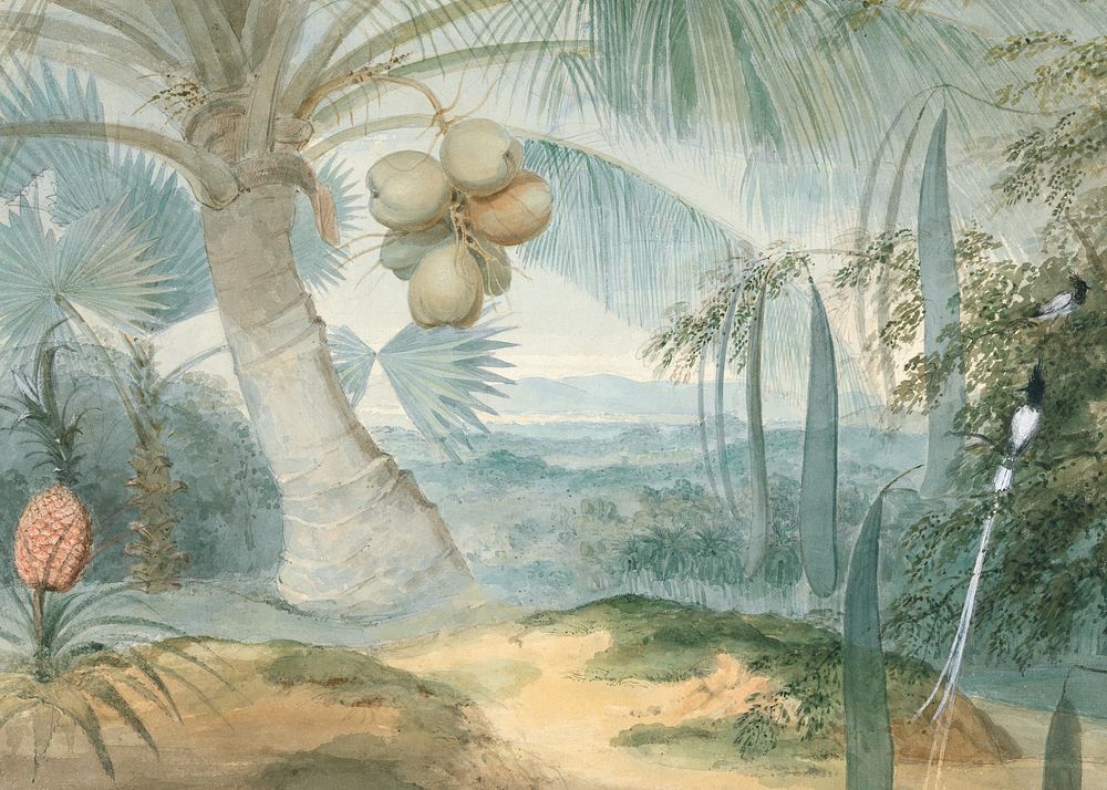 Coconut tree landscape background, vintage nature illustration by Samuel Daniell. Remixed by rawpixel.