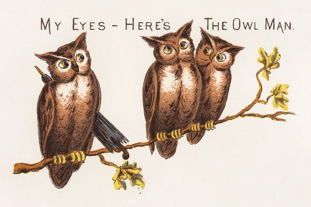 My eyes - here's the owl man (1882), vintage chromolithograph. Original public domain image from Digital Commonwealth.…