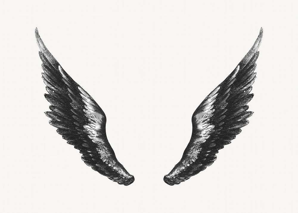 Angel's wings, vintage illustration. Remixed by rawpixel.