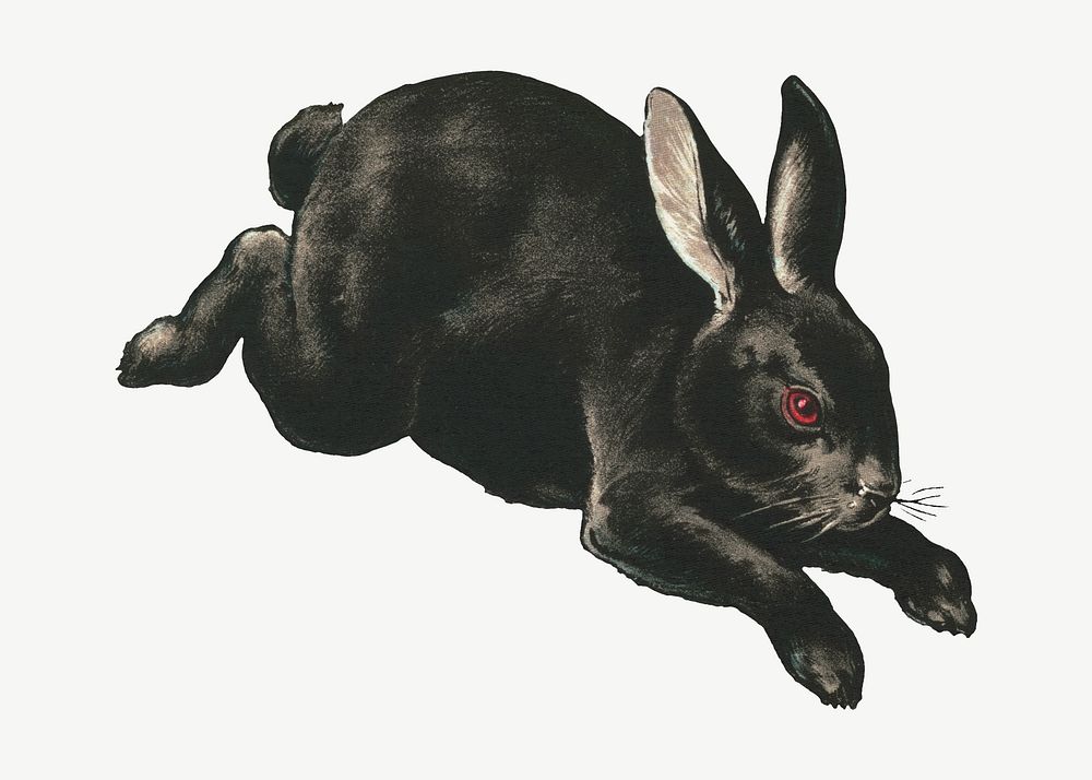 Rabbit, vintage animal illustration psd. Remixed by rawpixel.