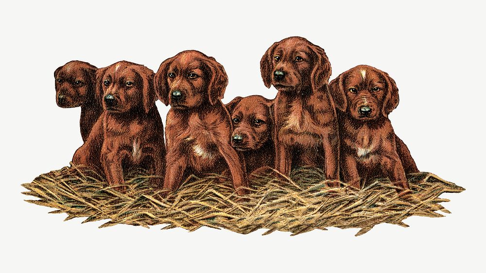 Vintage brown puppies psd. Remixed by rawpixel. 