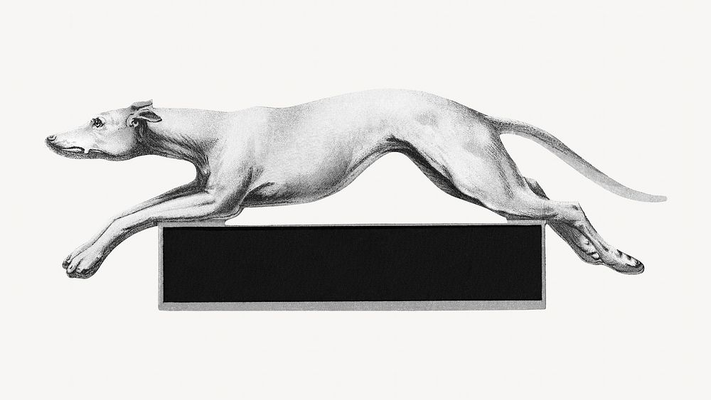 Vintage monotone Greyhound dog illustration. Remixed by rawpixel. 
