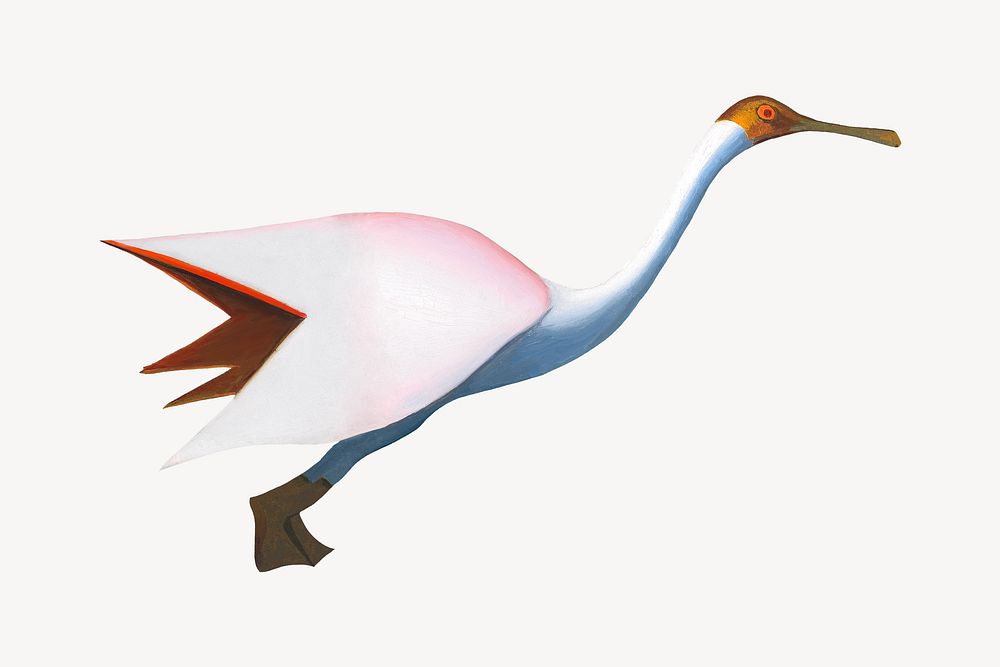 Vintage crane bird illustration. Remixed by rawpixel. 
