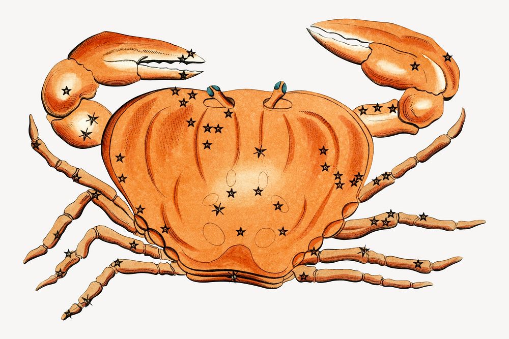 Vintage cancer crab illustration. Remixed by rawpixel. 