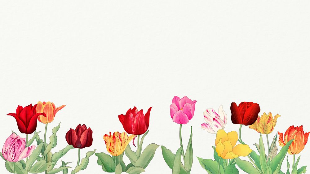Vibrant tulips desktop wallpaper, floral background. Remixed by rawpixel.
