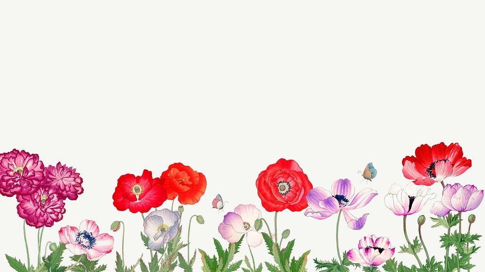 Anemone flowers desktop wallpaper. Remixed | Premium Photo Illustration