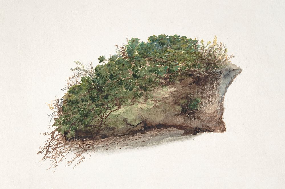 Study of a Piece of Turf. Digitally enhanced by rawpixel.