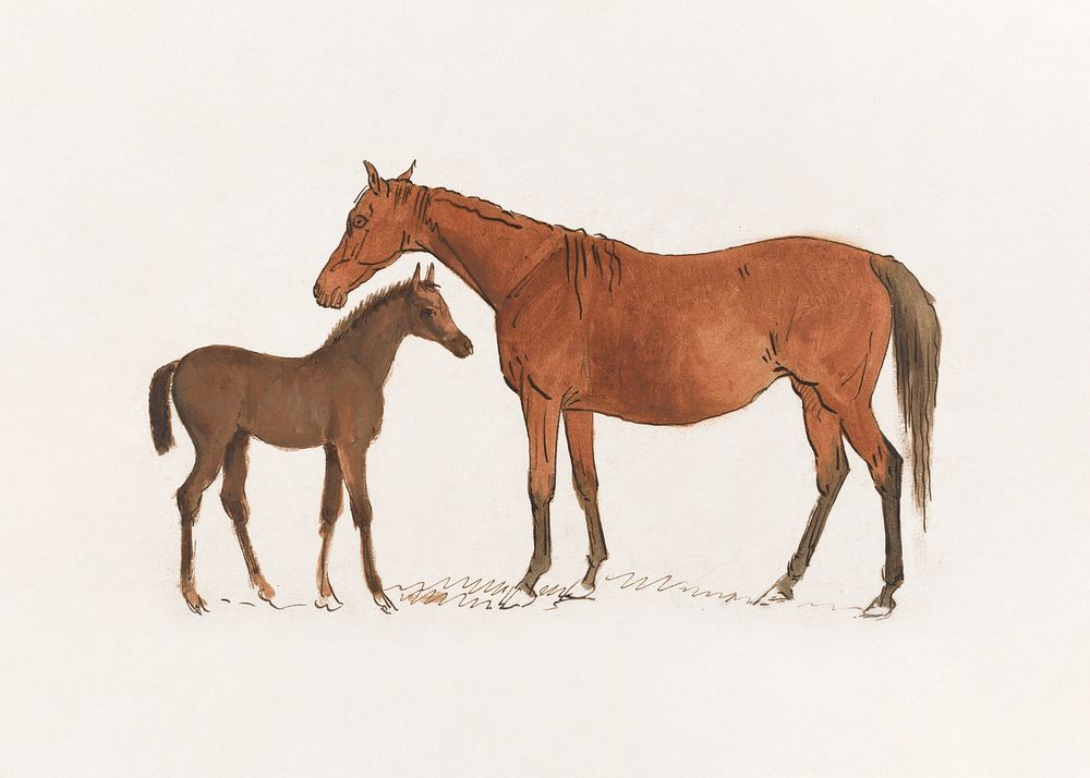 Chestnut Mare and Foal Sawrey Gilpin. Digitally enhanced by rawpixel.