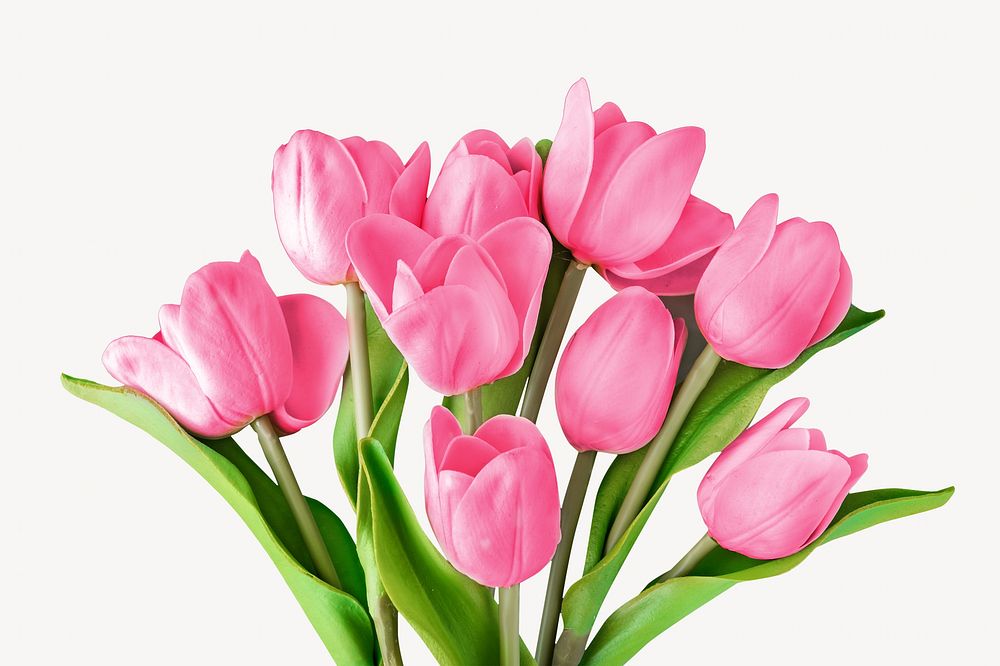 Pink tulip bouquet image, spring aesthetic