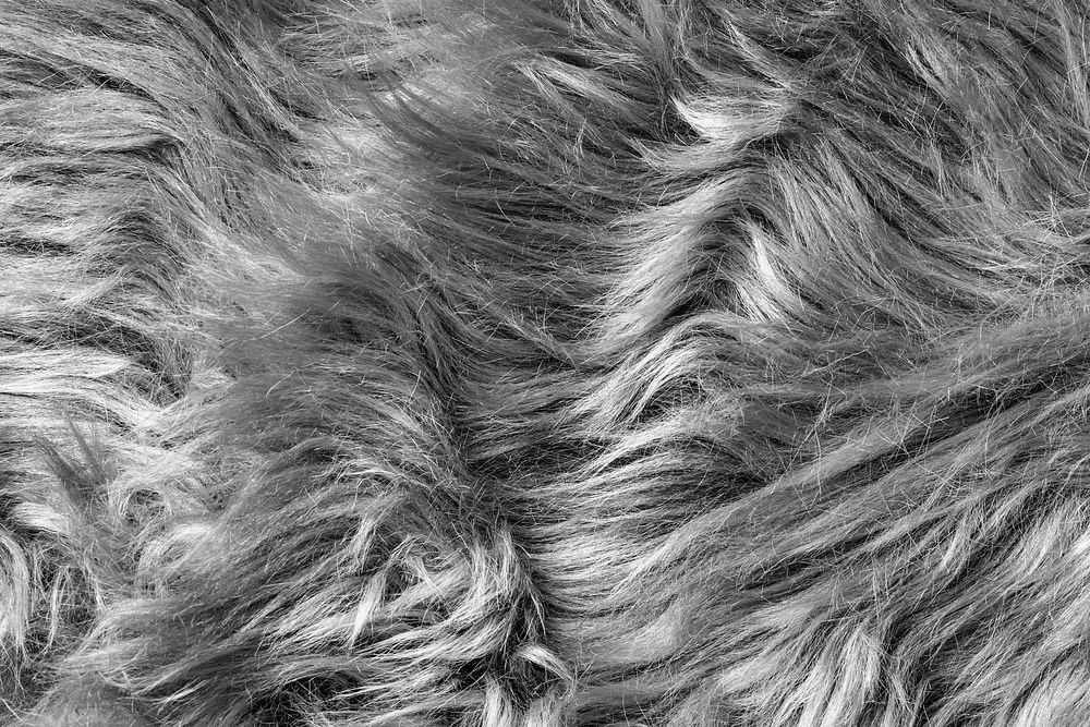 Gray fur texture background