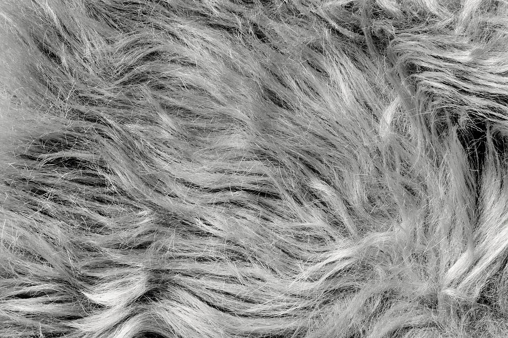 Gray fur texture background psd