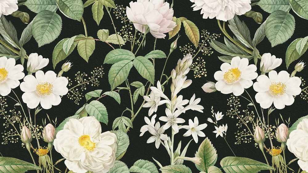 White flower computer wallpaper, vintage illustration by Pierre Joseph Redouté. Remixed by rawpixel.