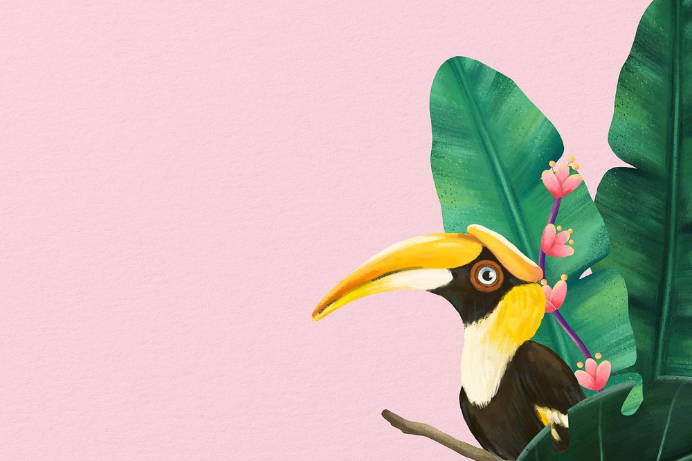 Hornbill bird border background, pink design