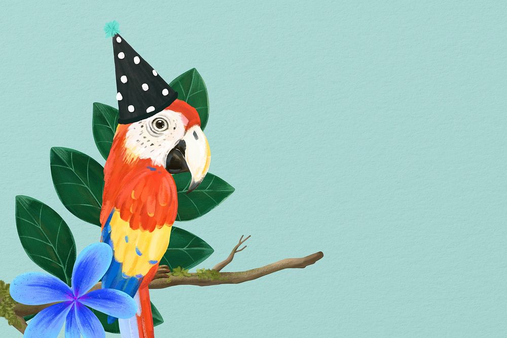 Birthday macaw bird border background, green design