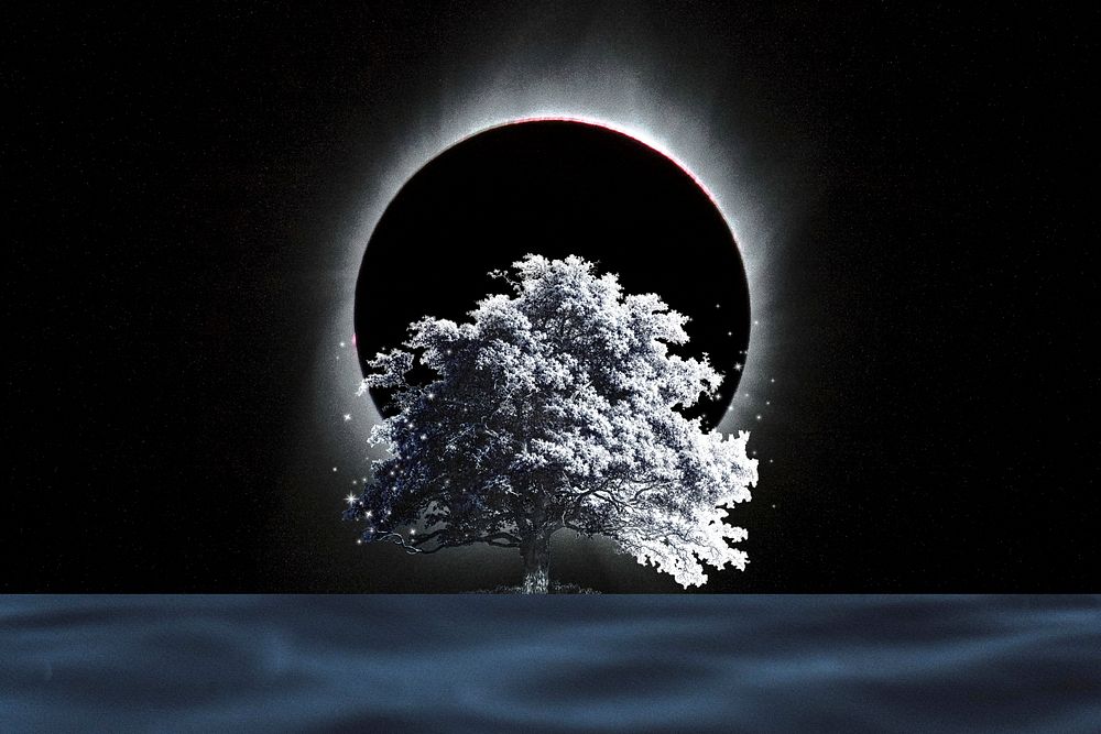 Moon eclipse dark background, tree design