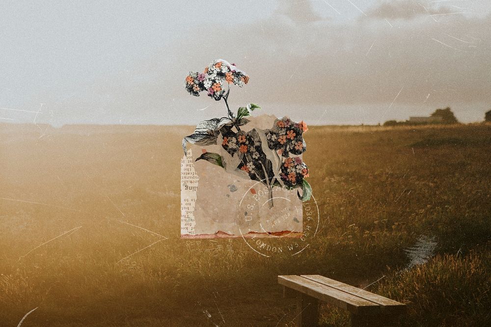 Golden hour flower background, sunset photo