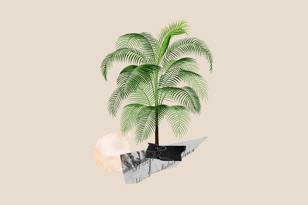 Aesthetic tropical tree background