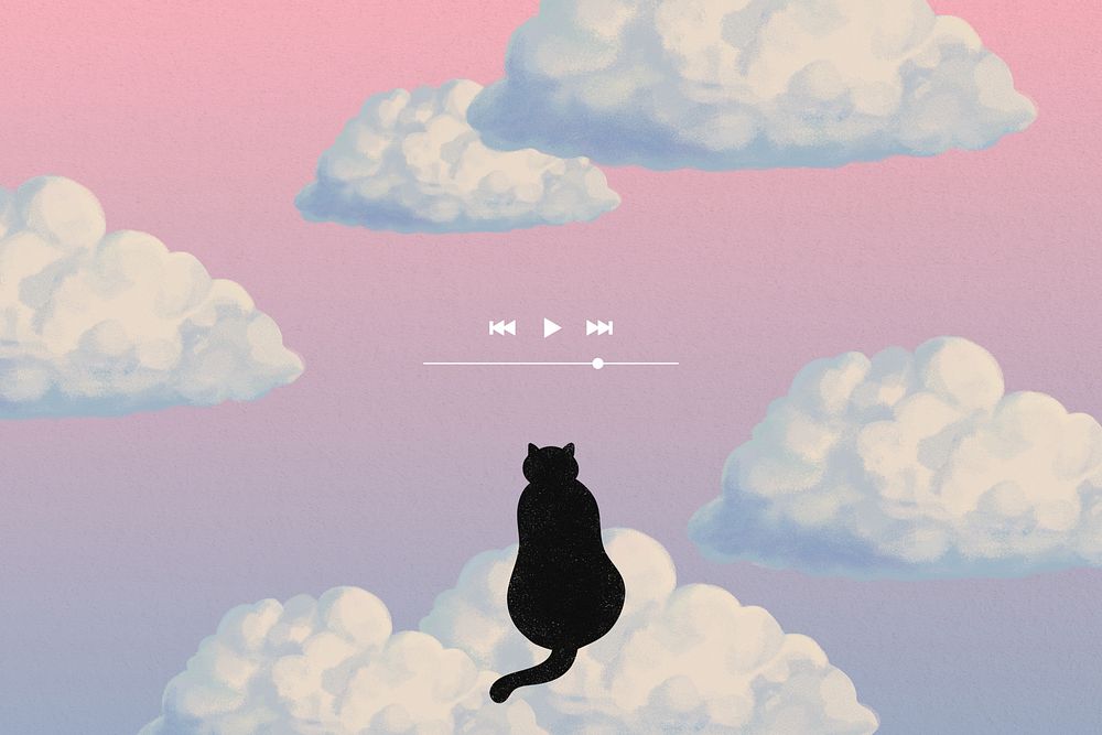 Aesthetic sky playlist, cat background