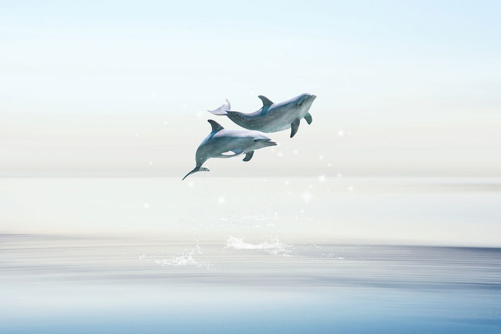 Swimming dolphins background, surreal sky
