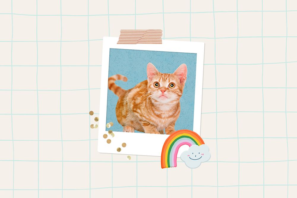 Cute ginger cat background, pet animal remix