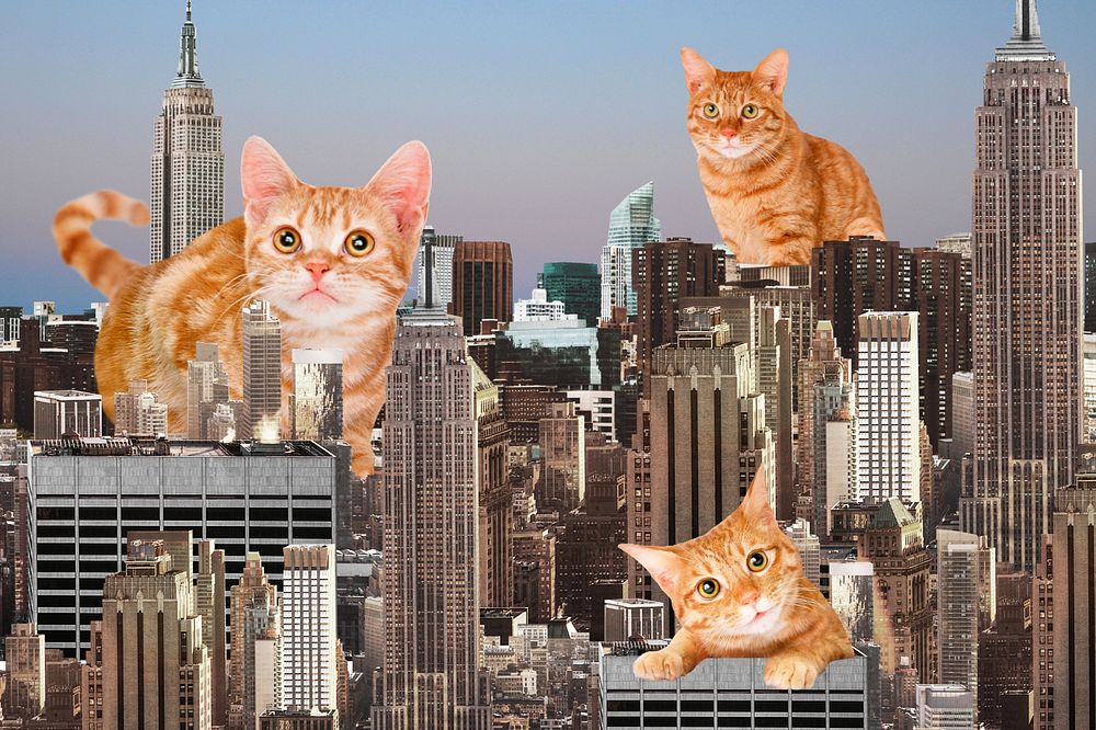 Giant cats background, surreal buildings remix