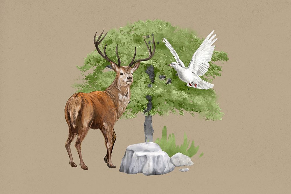 Stag deer, wild animal and nature collage
