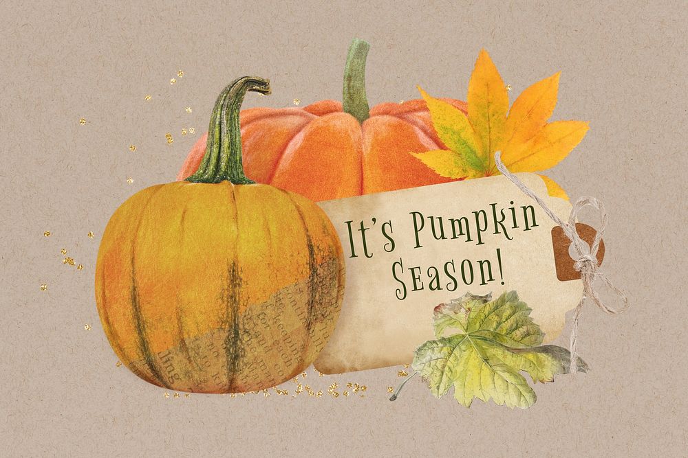 It's pumpkin season word, Autumn pumpkin collage