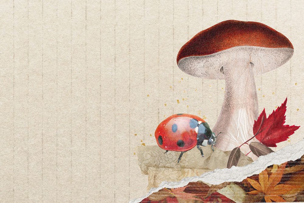 Mushroom background, autumn design 
