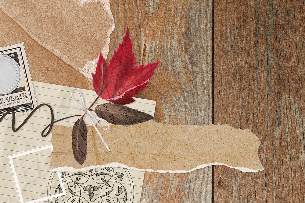  Autumn leaf collage background, seasonal aesthetic design