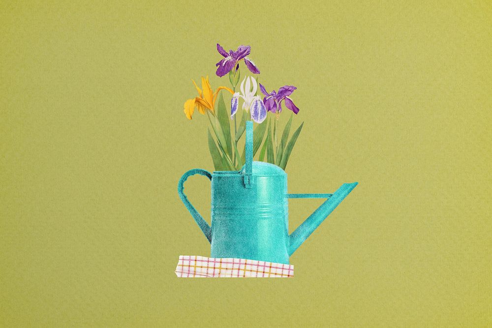 Spring flower background, iris in teal watering can remix illustration