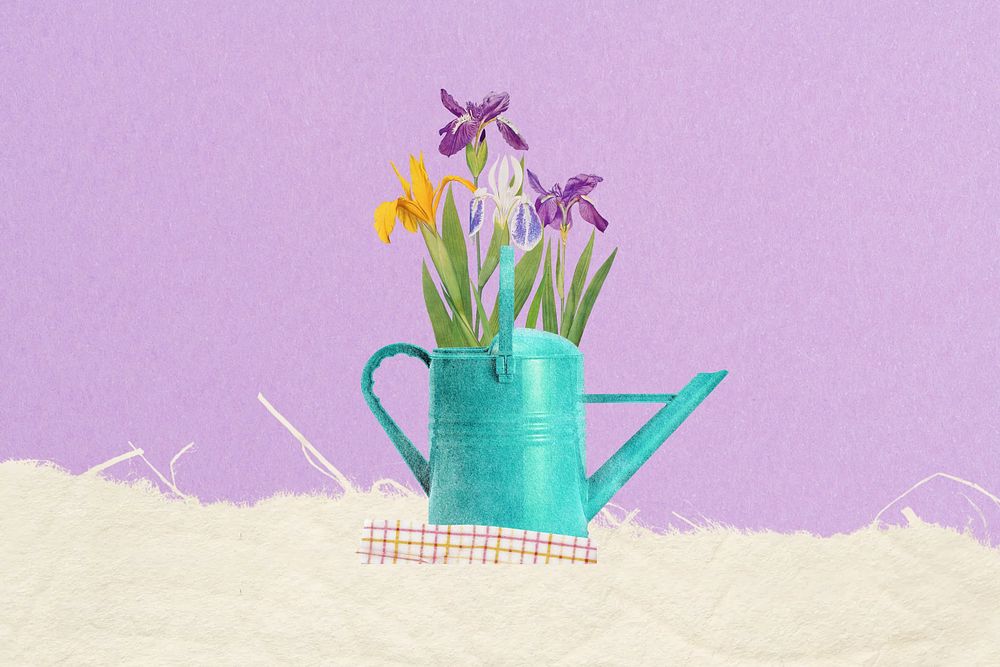 Colorful iris flower in teal watering can remix illustration