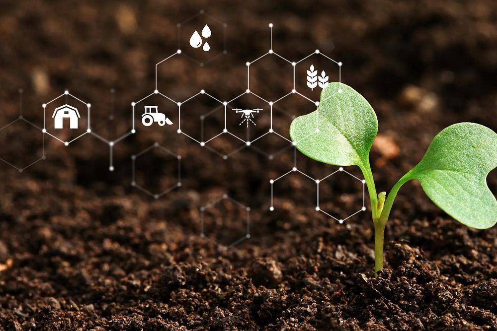 Smart agriculture, GMO plant, digital remix