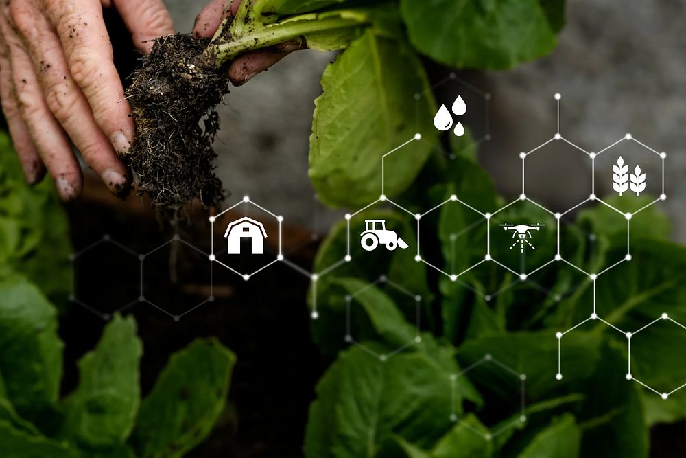 Smart farming technology, digital remix