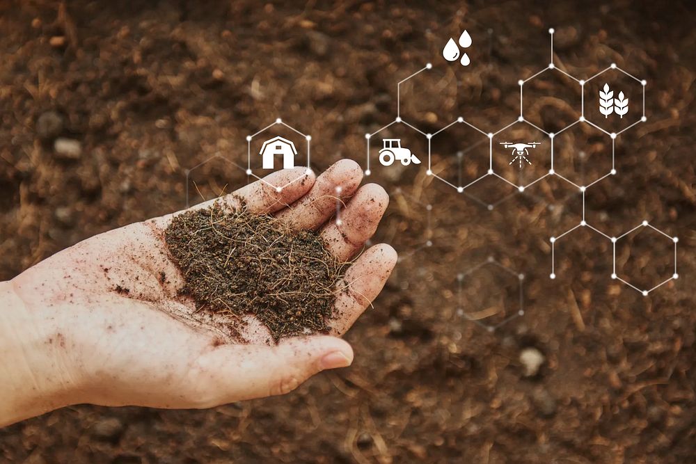 Smart farming, hand holding soil, digital remix