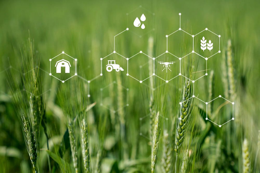 Smart farming, agriculture technology