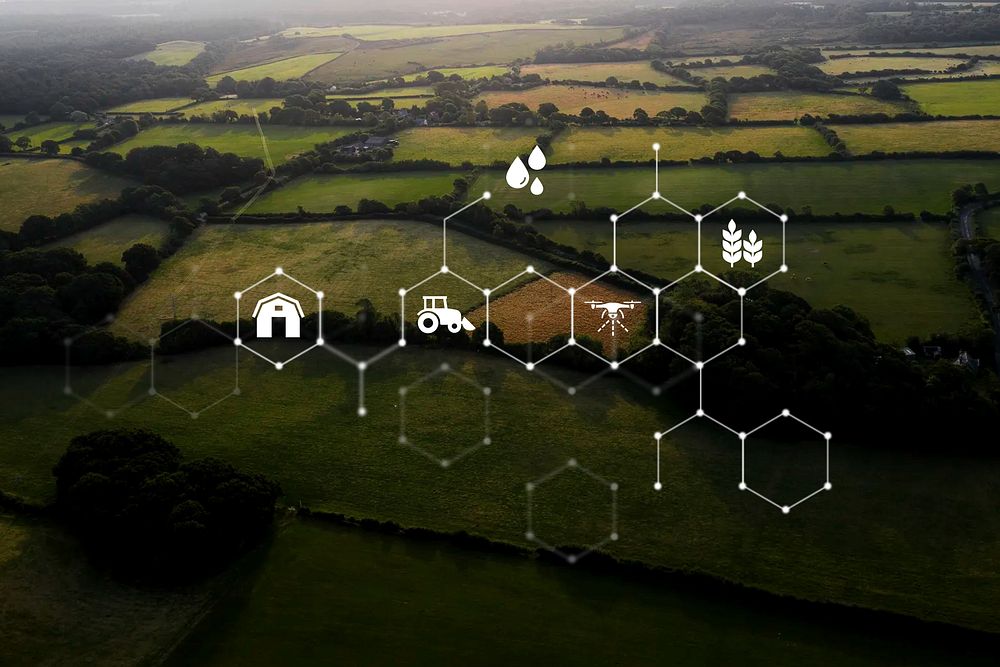Smart farming, green fields, digital remix