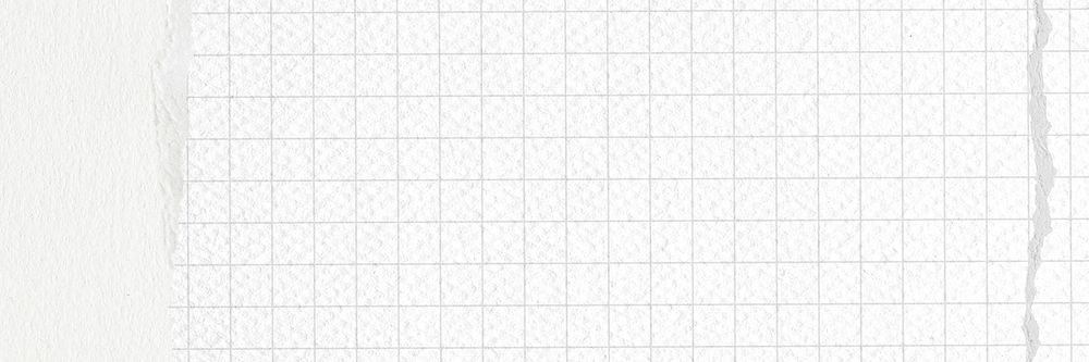 Off-white grid patterned background, ripped paper border