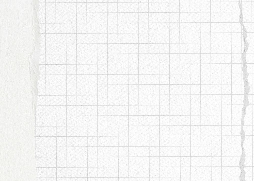 Off-white grid patterned background, ripped paper border