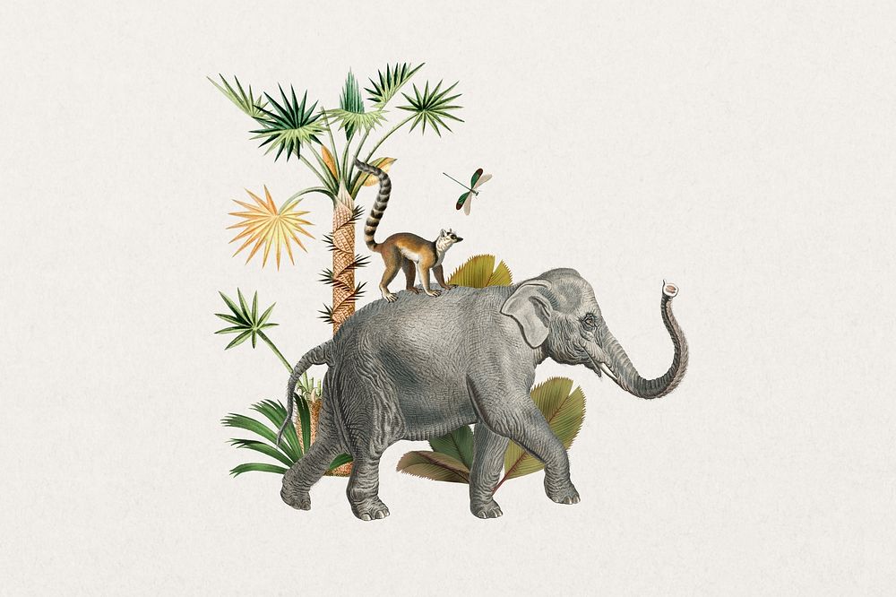 Vintage elephant, botanical wildlife remix 