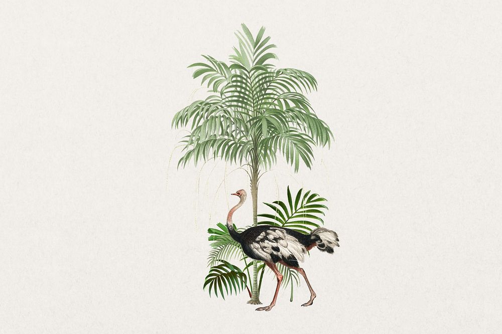 Wild ostrich, exotic botanical remix collage element