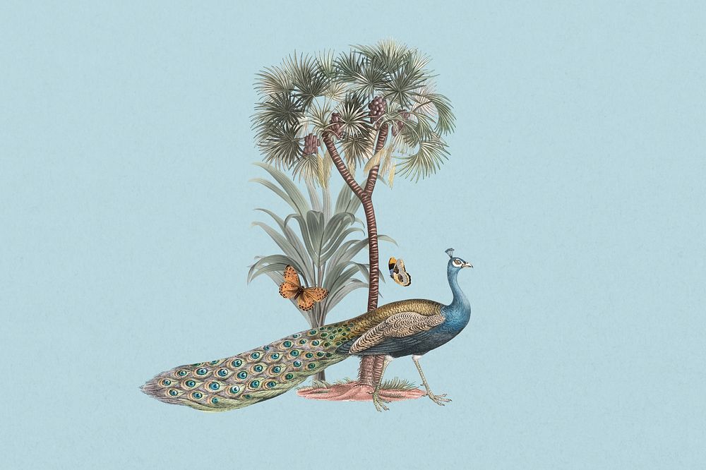 Exotic peacock, bird botanical remix