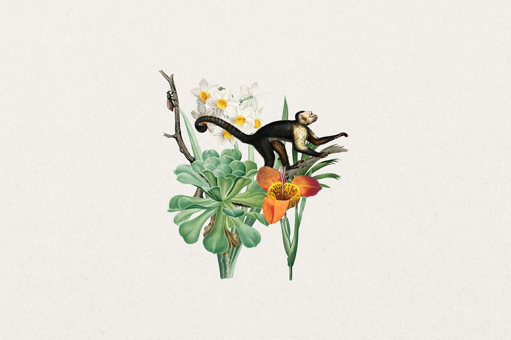 Vintage monkey, wildlife botanical remix collage element